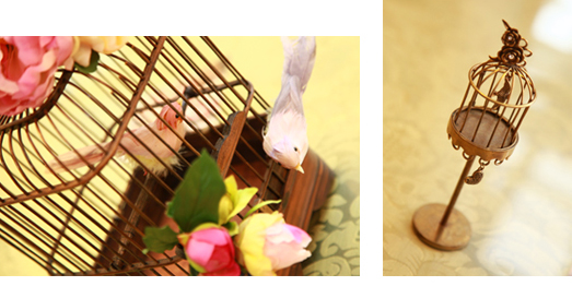 �����C���[�W�J�b�g